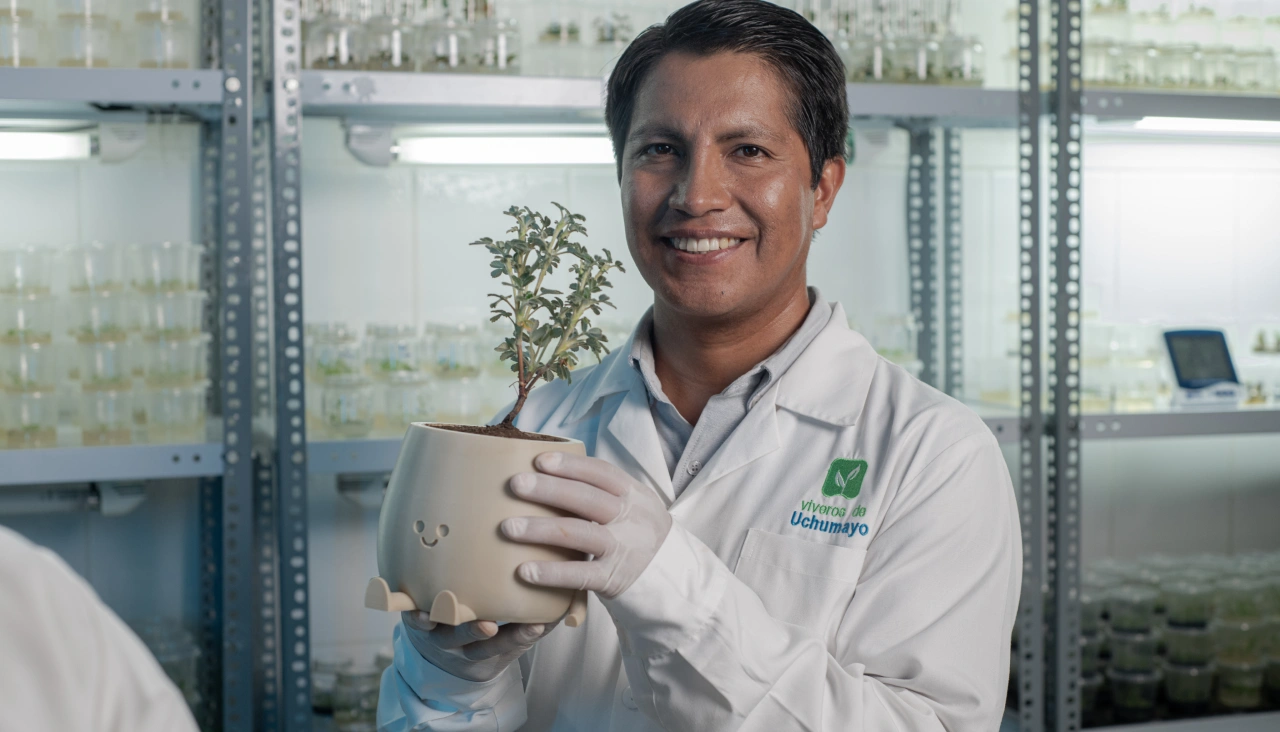 minería cobre molibdeno arequipa minera cerro verde medio ambiente Perú