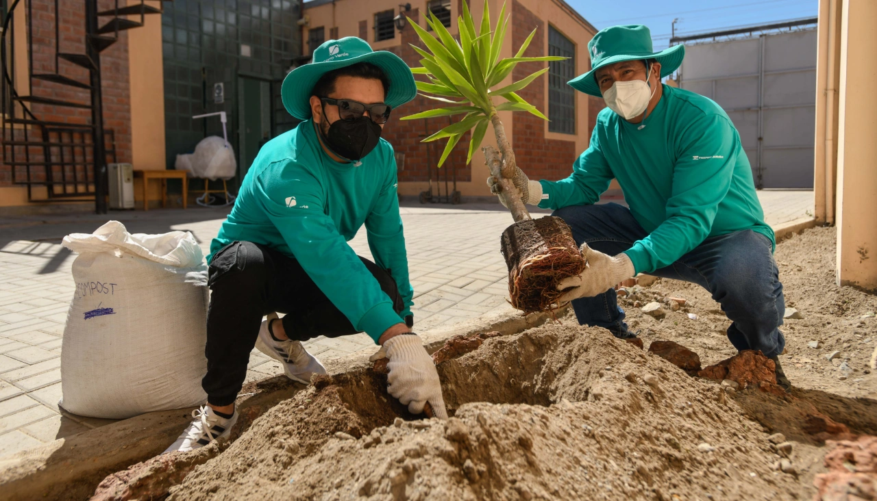 minería cobre molibdeno arequipa minera cerro verde voluntariados corporativos Perú