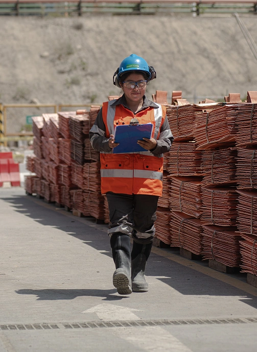 mineria cobre molibdeno arequipa minera cerro verde perú