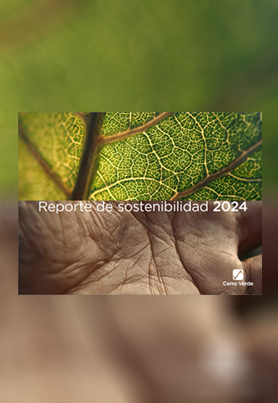 REPORTE DE SOSTENIBILIDAD 2024