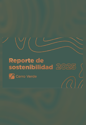REPORTES DE SOSTENIBILIDAD