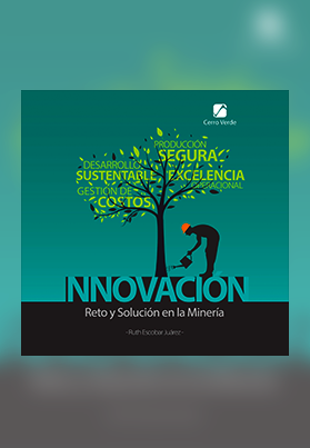 Innovación Reto y Solución en la Minería