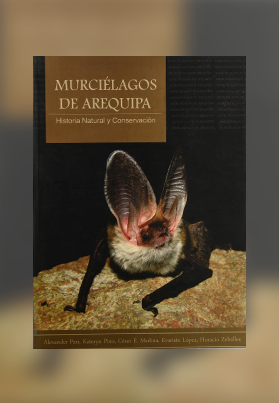 Murciélagos de Arequipa