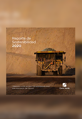 REPORTE DE SOSTENIBILIDAD 2020